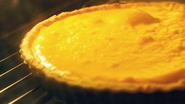 别吃我蛋挞吃瓜协会