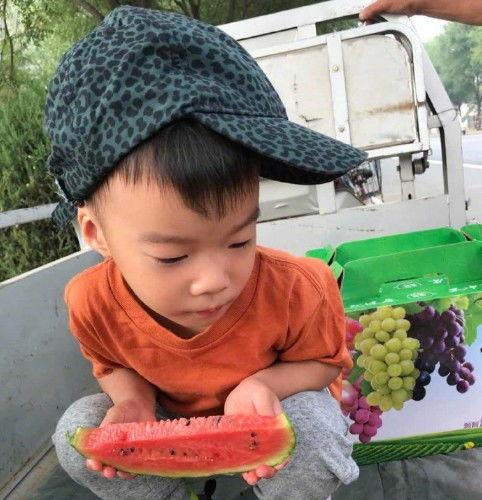 调侃吃瓜小品,一场别开生面的吃瓜小品盛宴