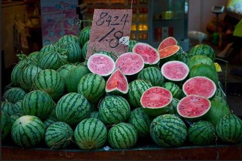 上海市吃瓜群众,吃瓜群众的市井生活剪影