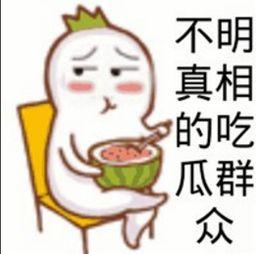 吃瓜群众专用袋,网络热词背后的趣味与思考