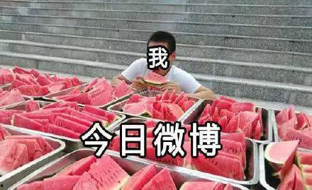 小杨爸爸吃瓜
