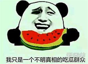 吃大瓜啥意思